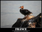 IMG_1066 copy