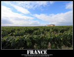 IMG_1505 copy