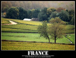 IMG_1524 copy
