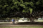 _DSC0432