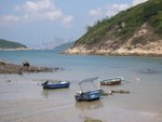 boats