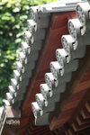  �ӽ��b�b 007