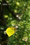  �ӽ��b�b 026