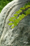  �ӽ��b�b 071