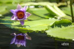  �ӽ��b�b 092