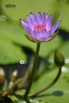  �ӽ��b�b 105