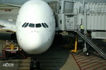  ������� (A380) 025