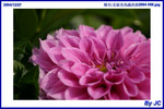  �_�Ϫ᳾�γ��i2004 058