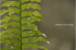  �W�J 013