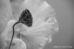  �r���W 035