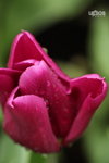 ��c�i2010 022