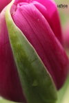  ��c�i2010 032