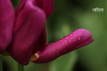  ��c�i2010 039