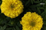  ��c�i2010 048