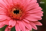  ��c�i2010 056
