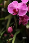  ��c�i2010 099