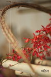  ��c�i2010 103