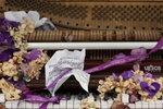  ��c�i2010 108