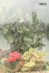  ��c�i2010 112