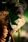  ����j�� 029