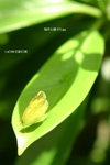 +���v���� 075