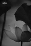  ������ 047