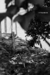 +�Y�D 040