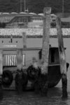 +�Y�D 084