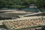 +�Y�D 109