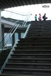  �y�F�C (�ѬP�X�Y)  041