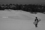 +�V�n (����F�C) 081.