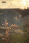  ��E���Y 078