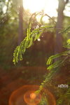  ��E���Y 005