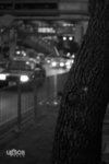  �W�J 050