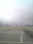 picture00009