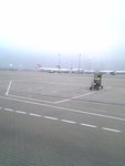 picture00010