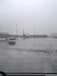 picture00012