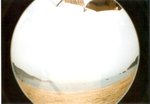 SC0013