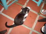 ����o�J�߿�