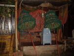 CIMG1454