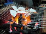 IMG_0440
