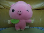 PIG