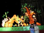 IMG_3417