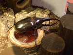 CIMG0190