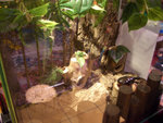 CIMG0191
