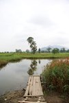 DSC09783