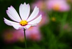 DSC00190