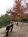 DSCN2687