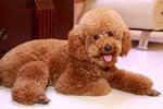 Boby-0001