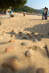 sDSC_8921